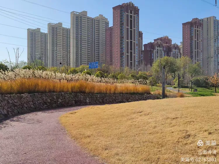 冬游曲江花影公园